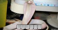  шшшшшш