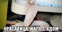  красавица, жаль с ядом