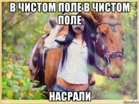 в чистом поле в чистом поле насрали