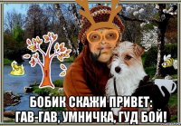  бобик скажи привет: гав-гав, умничка, гуд бой!