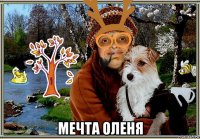  мечта оленя