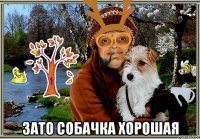  зато собачка хорошая