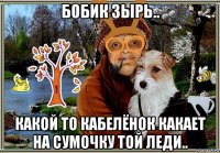 бобик зырь.. какой то кабелёнок какает на сумочку той леди..