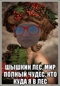  шышкин лес, мир полный чудес, кто куда я в лес