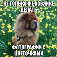 не только же хозяйке делать фотографии с цветочками