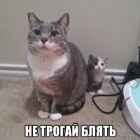  не трогай блять