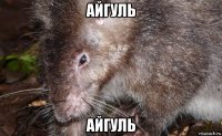 айгуль айгуль
