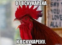 от вскукарека к вскукареку.
