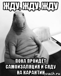 жду, жду, жду пока пройдёт самоизаляция и сяду на карантин