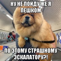 ну не пойду же я пешком по этому страшному эскалатору?!