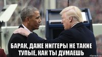  барак, даже ниггеры не такие тупые, как ты думаешь