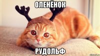 оленёнок рудольф