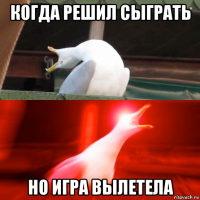 когда решил сыграть но игра вылетела