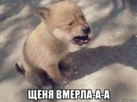  щеня вмерла-а-а