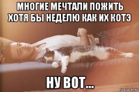 многие мечтали пожить хотя бы неделю как их котэ ну вот…