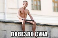  повезло сука