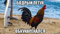 бодрый петух обкукарекался