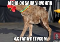 меня собака укусила и стала петухом