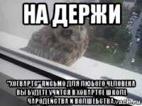 на держи "хогвартс" письмо для любого человека вы будете учится в ховартсе школе чародейства и волшебства.