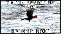 чтобы совершать манёвр петуха надо быть петухом