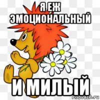 я еж эмоциональный и милый
