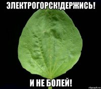 электрогорск!держись! и не болей!