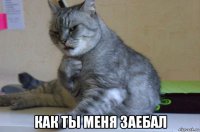  как ты меня заебал