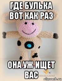 где булька вот как раз она уж ищет вас
