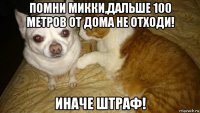 помни микки,дальше 100 метров от дома не отходи! иначе штраф!