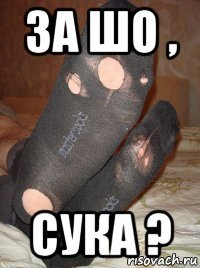 за шо , сука ?