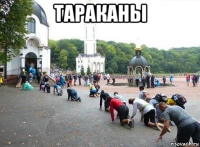 тараканы 