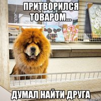 притворился товаром... думал найти друга