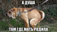 а душа там где мать родила
