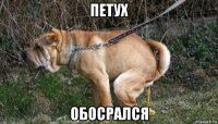 петух обосрался