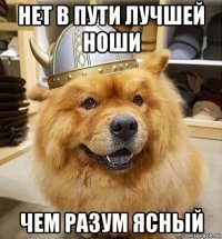нет в пути лучшей ноши чем разум ясный