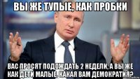 вы же тупые, как пробки вас просят подождать 2 недели, а вы же как дети малые. какая вам демократия?