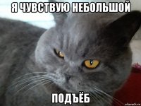 я чувствую небольшой подъёб