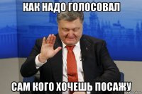 как надо голосовал сам кого хочешь посажу