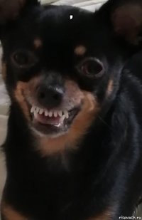 , 