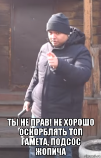  ты не прав! не хорошо оскорблять топ гамета, подсос жопича