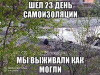 шел 23 день самоизоляции мы выживали как могли