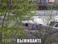  выживайте
