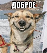 доброе 