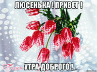 люсенька ! привет ! утра доброго !