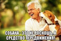  собака - это не роскошь, а средство передвижения!