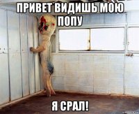 привет видишь мою попу я срал!