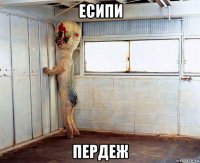 есипи пердеж