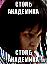 столб академика столб академика