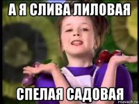 а я слива лиловая спелая садовая