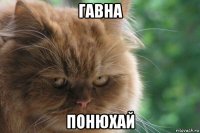 гавна понюхай